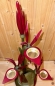 Preview: Orchidee mit Zwiebel, rot