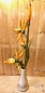 Preview: Orchidee Vase Orange/Natur Vase