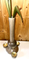 Preview: Strelitzie mit Teelicht, graue Vase lang