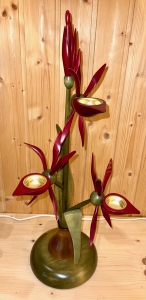 Orchidee mit Zwiebel, rot