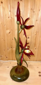 Orchidee mit Zwiebel, rot