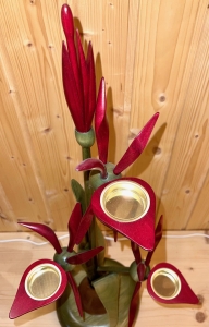Orchidee mit Zwiebel, rot
