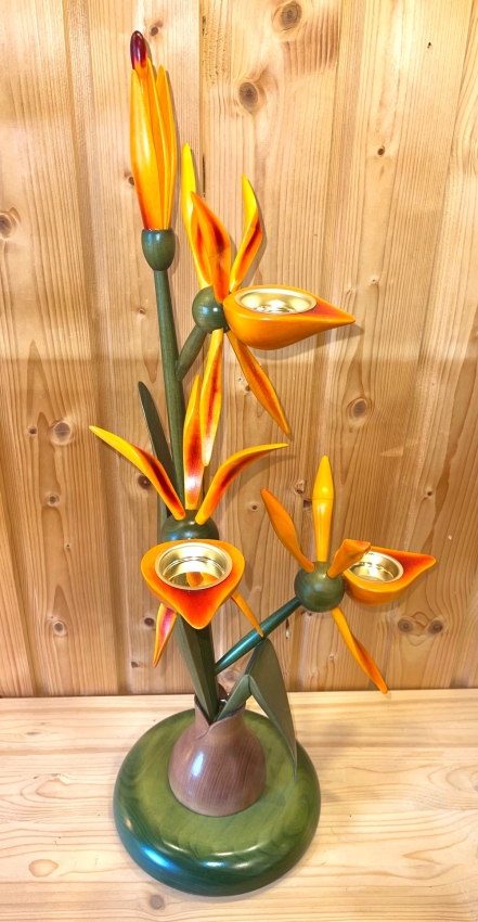 Orchidee mit Zwiebel, orange