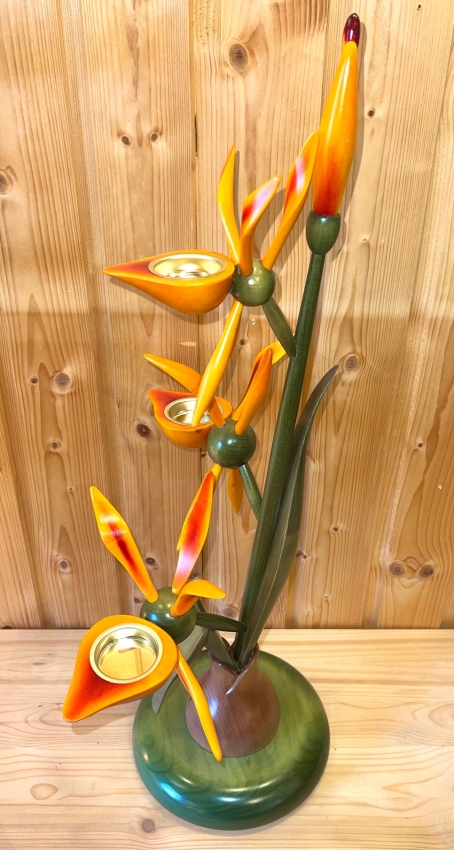 Orchidee mit Zwiebel, orange