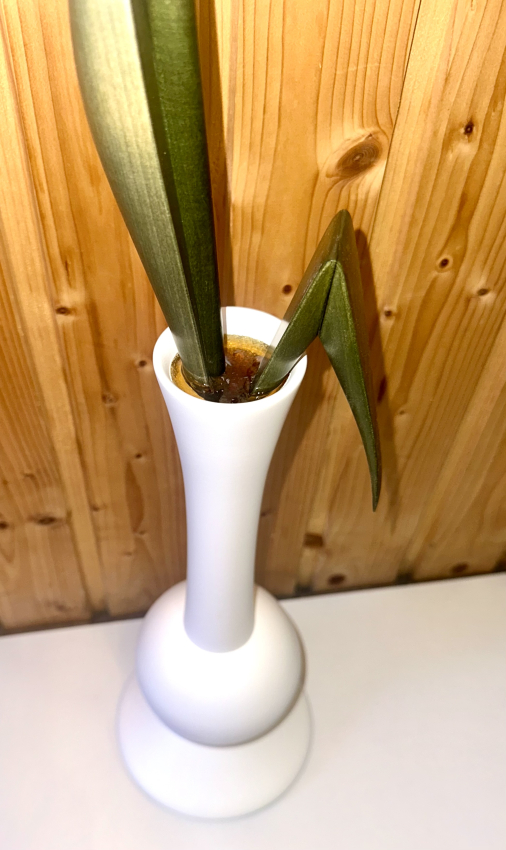 Strelitzie ohne Teelicht, Vase Weiß matt