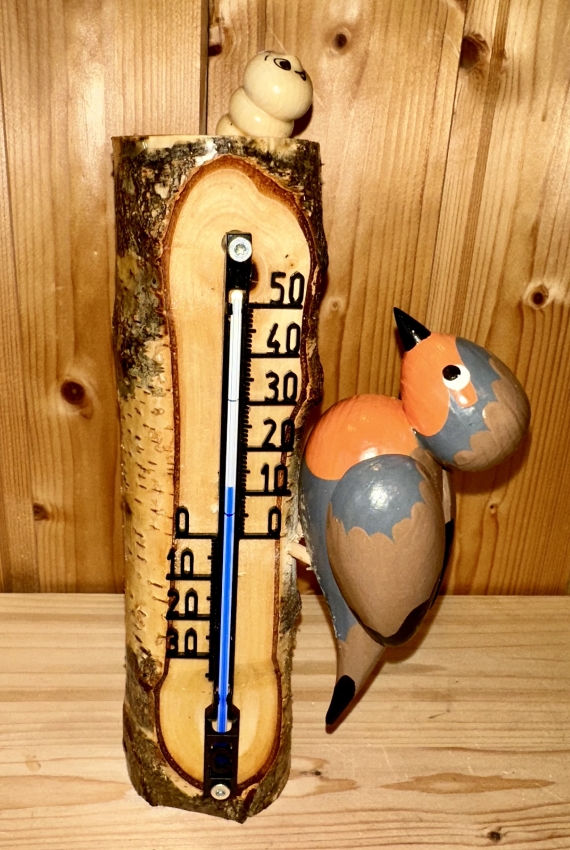 Thermometer Rotkehlchen