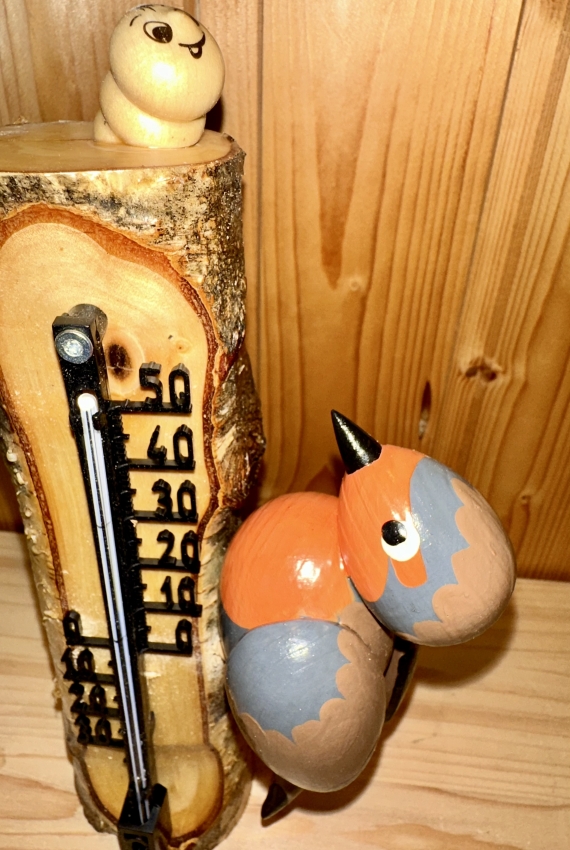 Thermometer Rotkehlchen