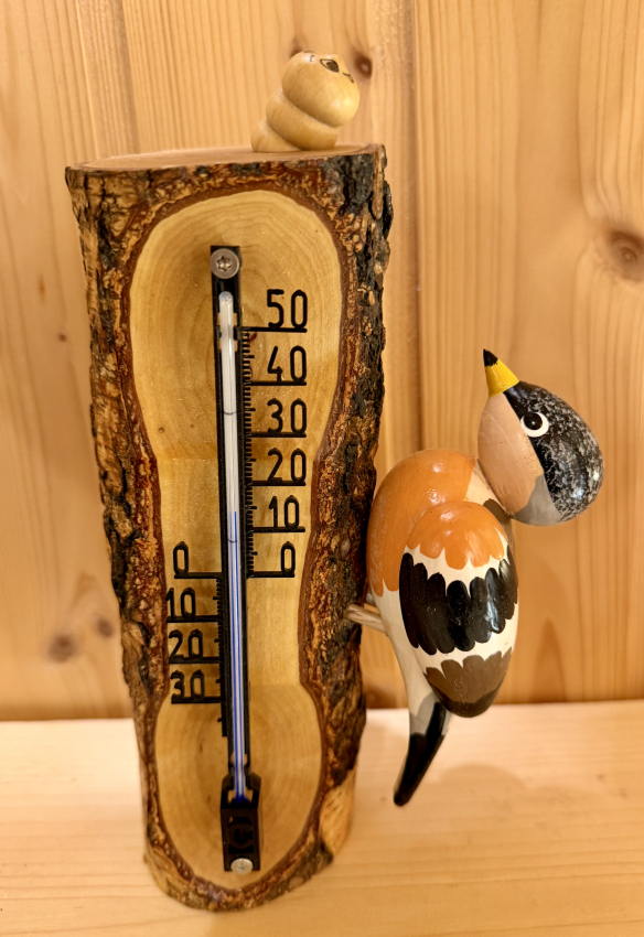 Thermometer Bergfink