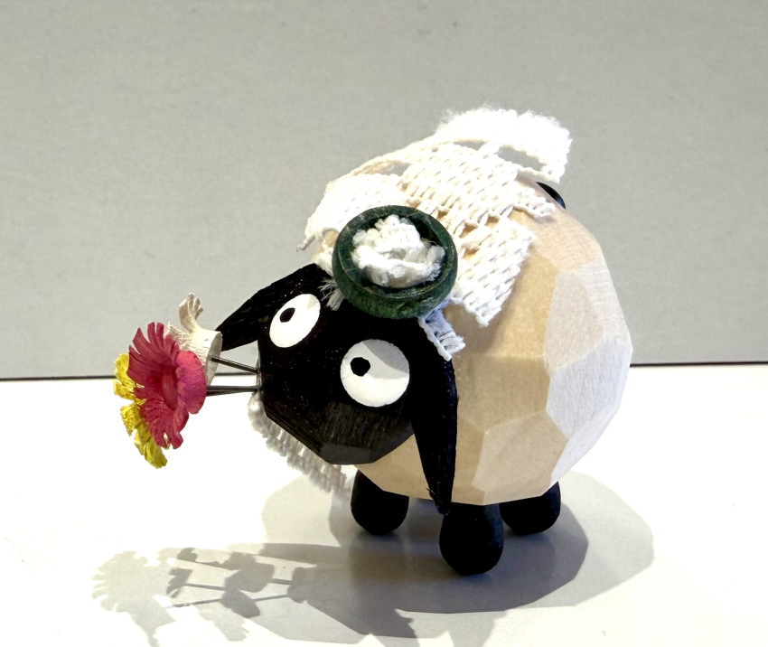 Hochzeitsschaf Braut, hell