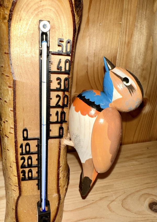 Thermometer Blaukehlchen