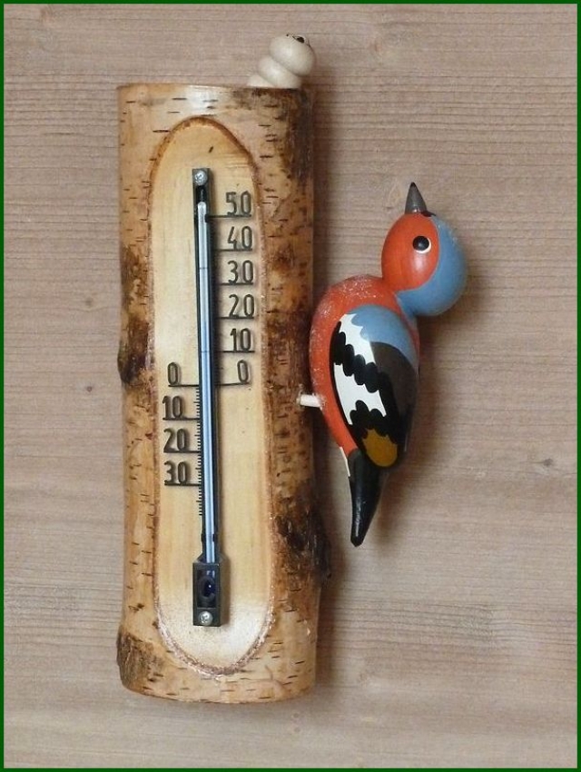 Thermometer Buchfink
