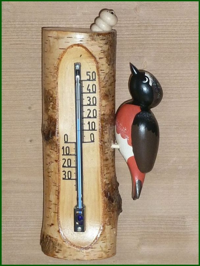 Thermometer Gartenrotschwanz