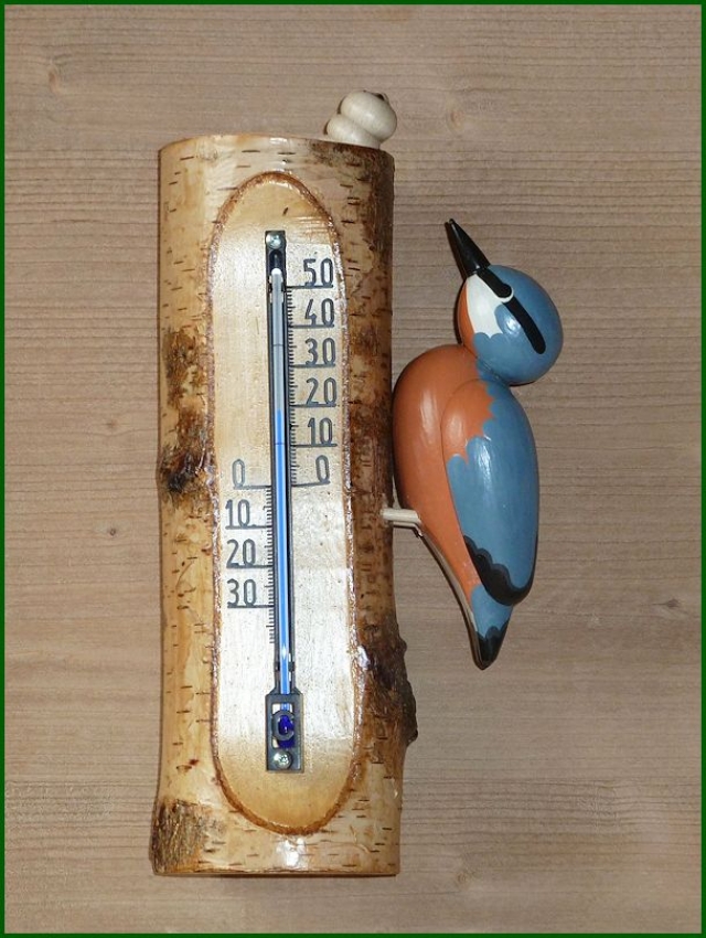 Thermometer Kleiber