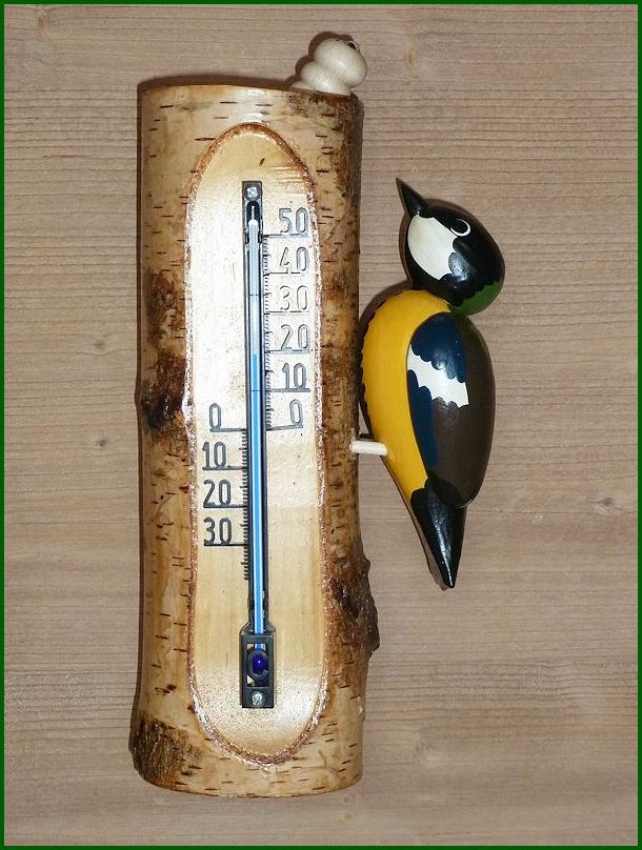 Thermometer Kohlmeise