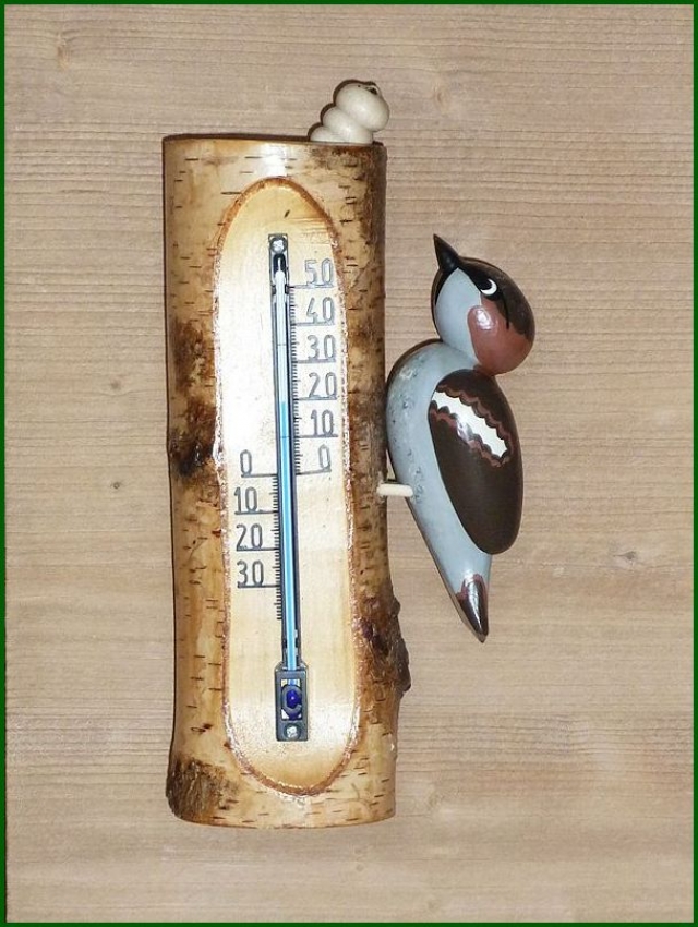 Thermometer Spatz